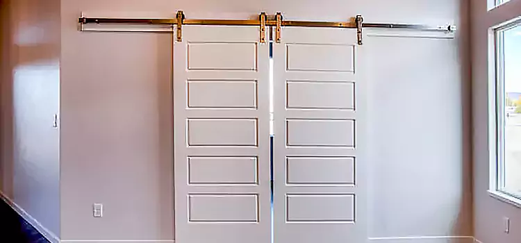 Glass Barn Door with Installation Hardware Kit Rapid City